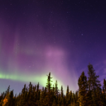 Stargazing at Lake Majeau.