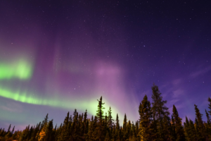 Stargazing at Lake Majeau.